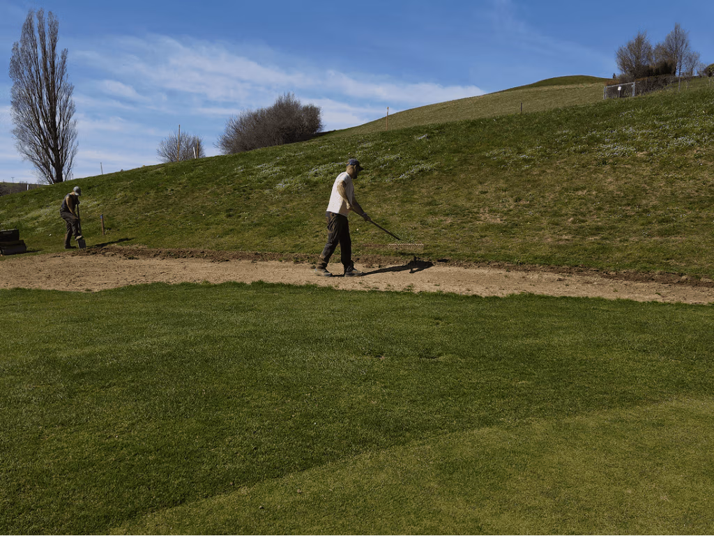 Remise en état des zones entourant les greens sur un golf.