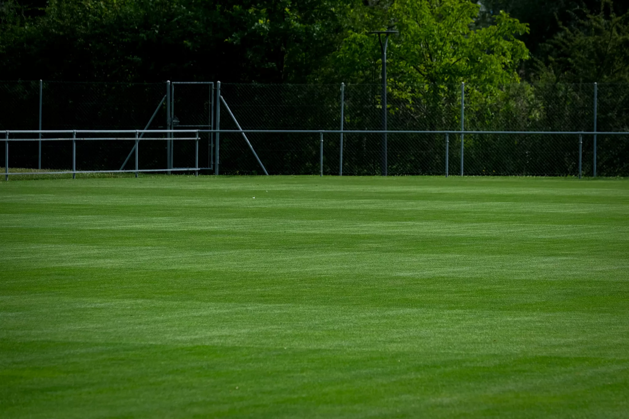 Gazon naturel, Aire de jeux, Aire de repos, Cricket, Football