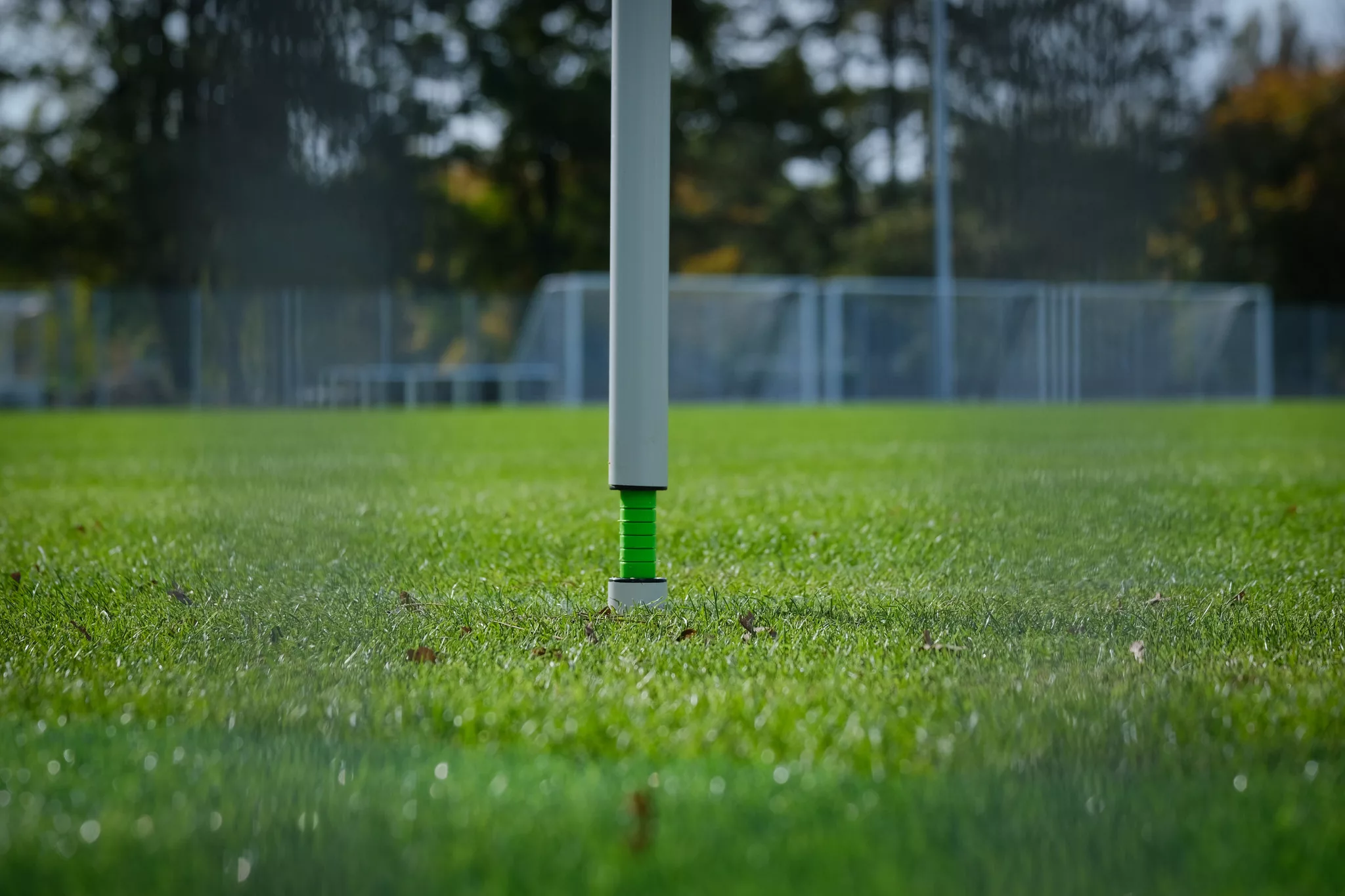 Stitching, Football, Rugby, Entretien - Gazon naturel & hybride, Hybride