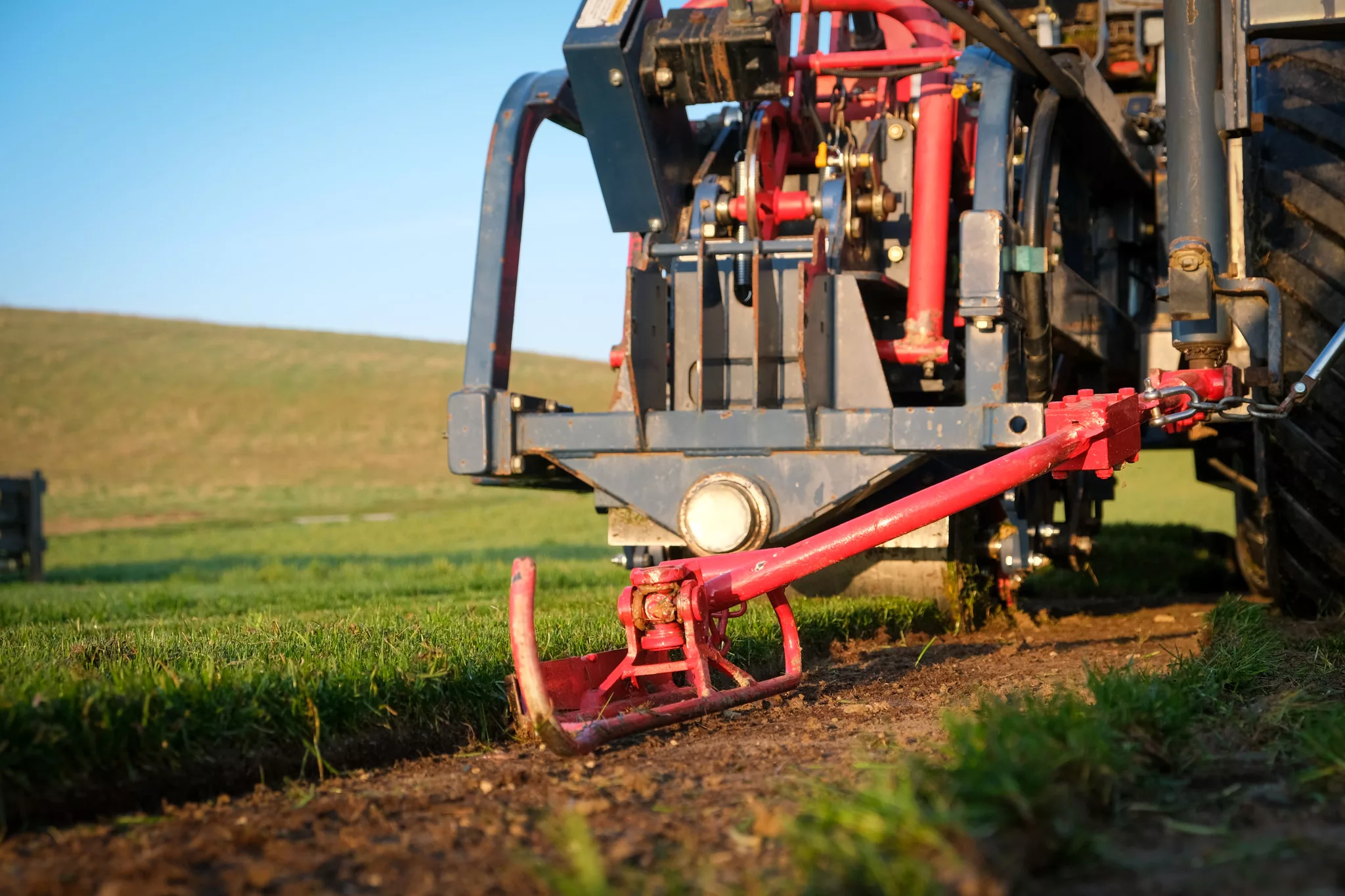 Golf, Copeaux de bois, Gazon en semis - 100j, Gazon naturel, Gravier