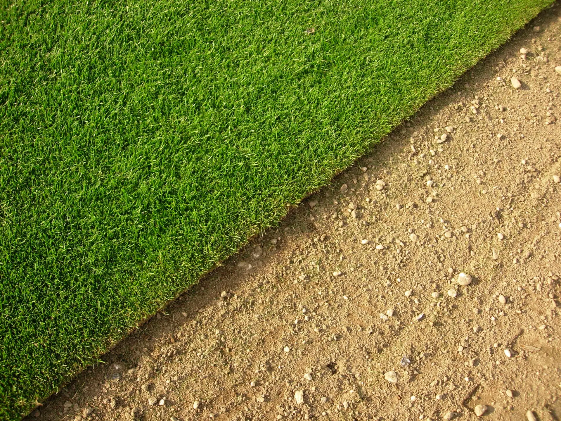 Précultivé – Gazon naturel, Précultivé - Gazon naturel, Précultivé