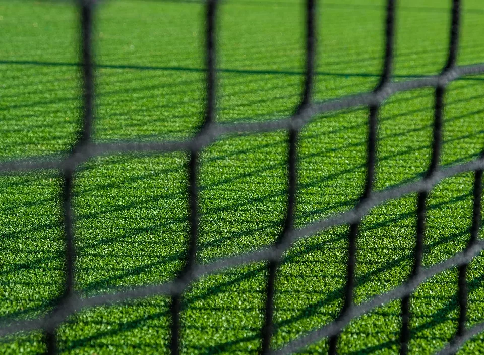 Cricket, Gazon en semis - 100j, Gazon naturel, Lay & play - Hybride, Lay & play - Naturel