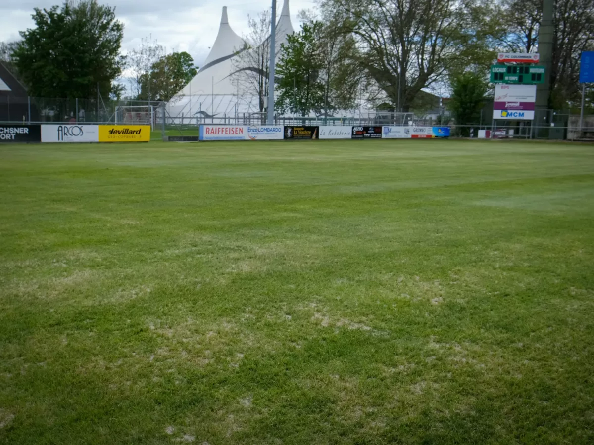 Entretien – Gazon naturel & hybride, Cricket, Football, Golf, Hockey sur gazon