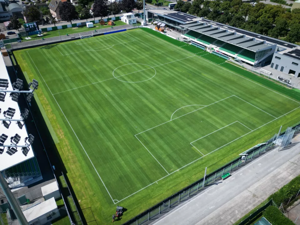 Rugby, Gazon en semis - 100j, Gazon naturel, Lay & play - Hybride, Lay & play - Naturel